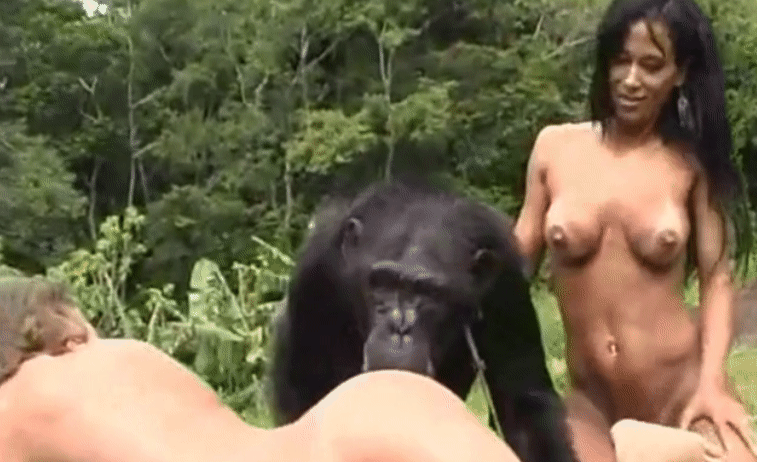 Большая обезьяна собралась ебать голых девушек порно гифки